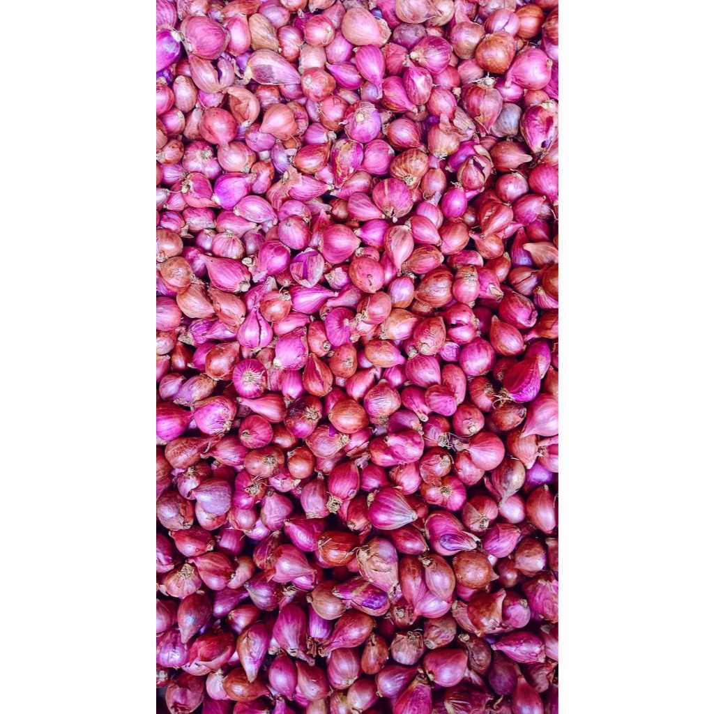 

Bawang merah murah 100 gr
