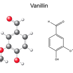 

TFA Vanillin 10 (PG) Flavor 30ml