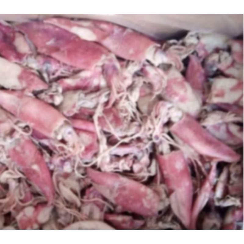 

Cumi Asin Kering Sultan Fresh