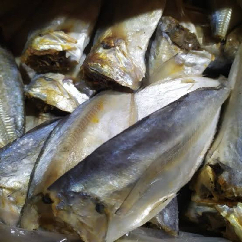 Ikan Peda Buntung