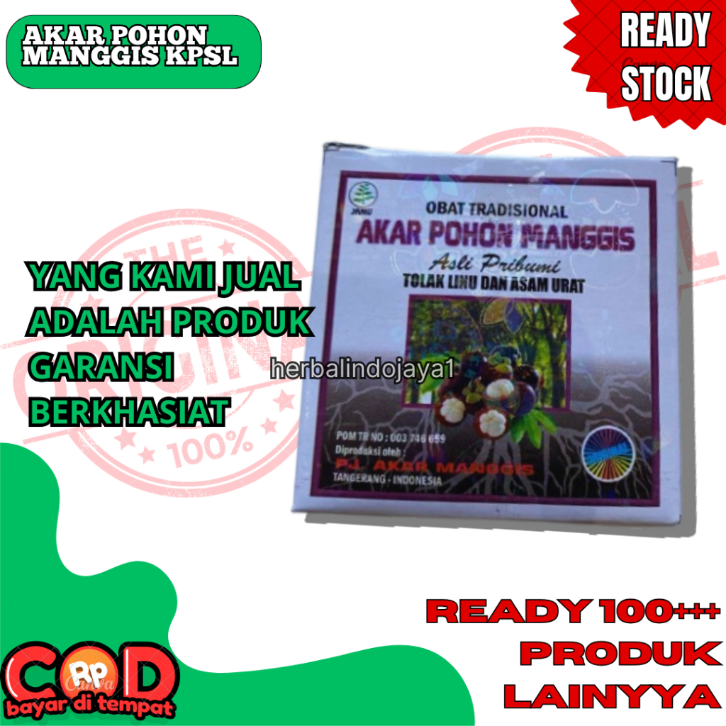 AKAR POHON MANGGIS KAPSUL ORIGINAL