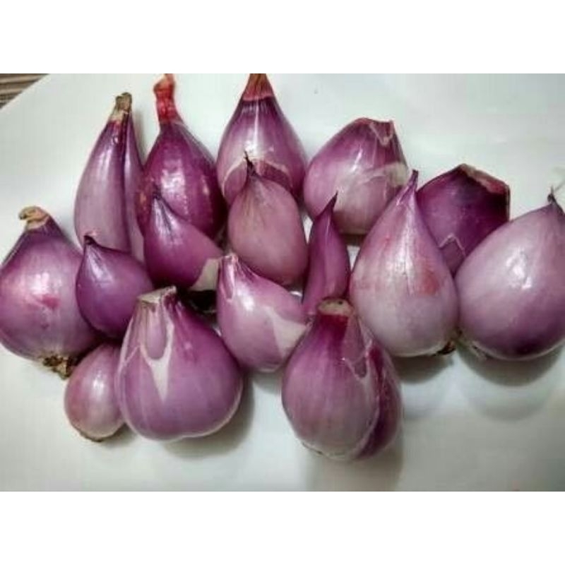 

bawang sayur