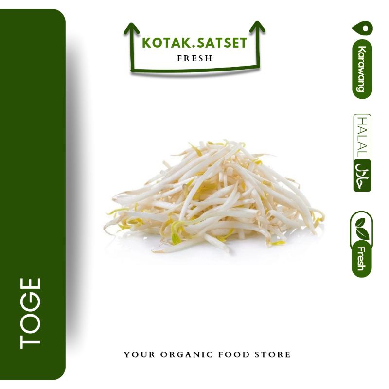 

Toge Kotak Saset Fresh Halal