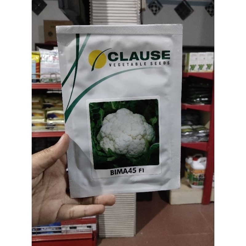 Benih Bunga Kol Bima 45 F1 10 gram Clause bibit sayur kembang hijau putih hidroponik biji hydroponik