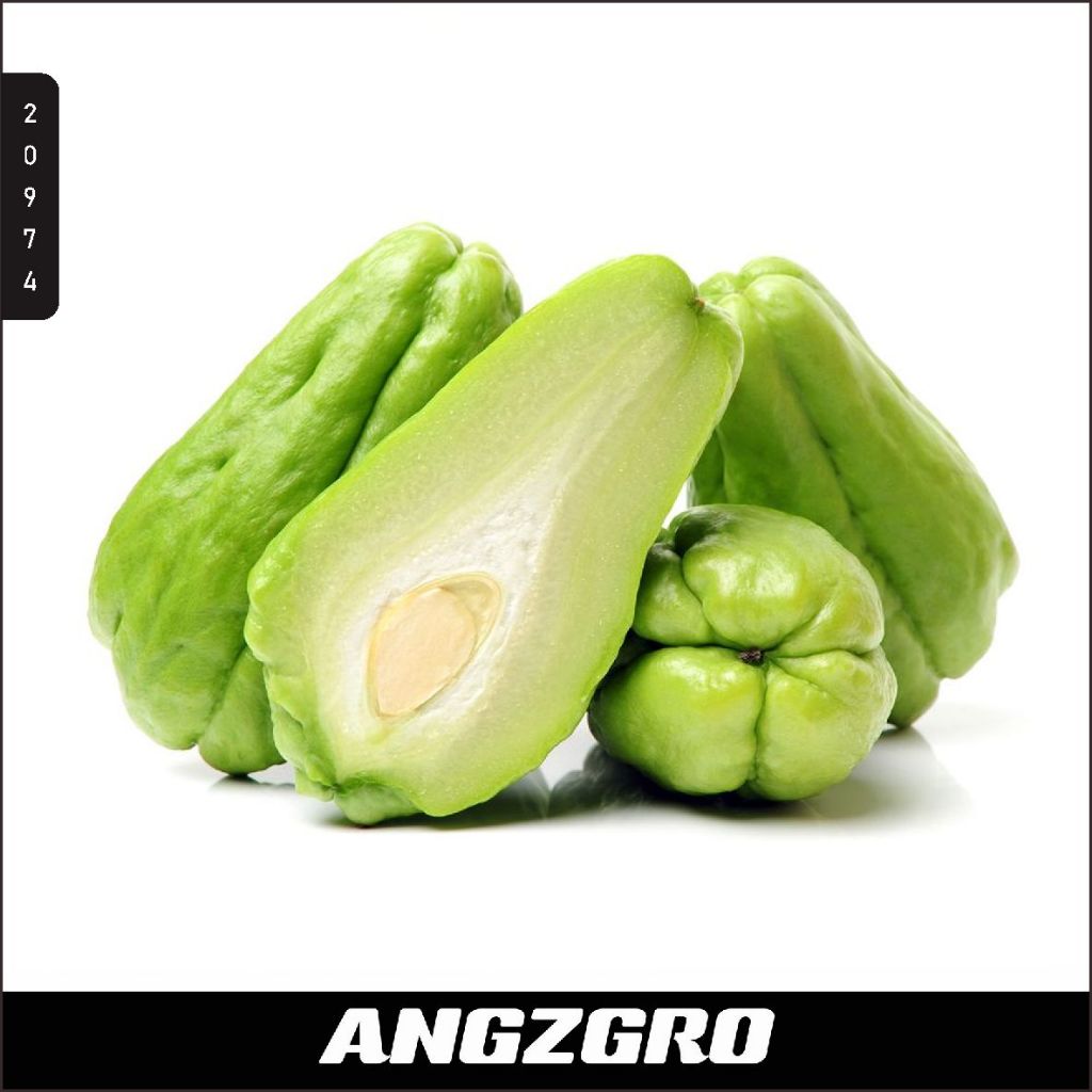 

Sayur Labu Siam 500 gr / Pack