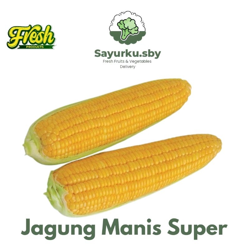 

Sayurku.Sby (Bisa kirim instan) Fresh Products Jagung Manis Super BESAR Premium 1 Pcs