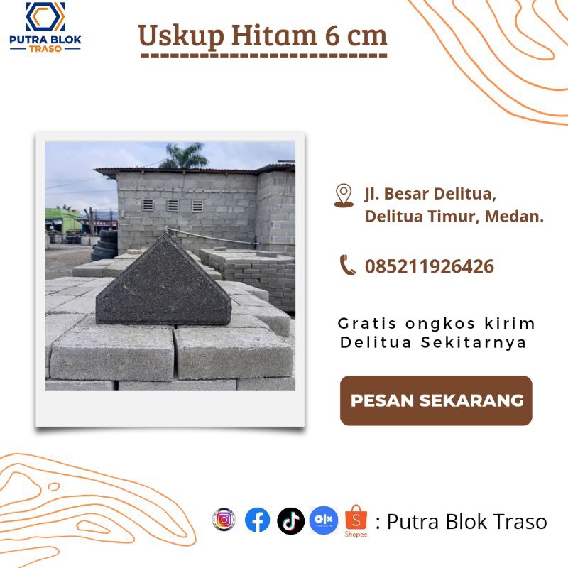 Uskup Hitam 6 cm