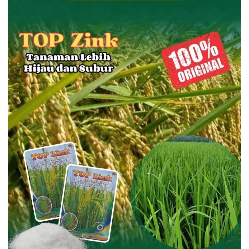 TOP ZINK JAMINAN ORIGINAL 100%