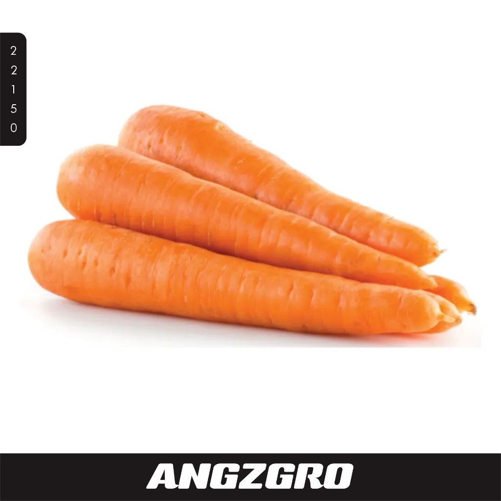 

Wortel Import 250 Gr/ Pack