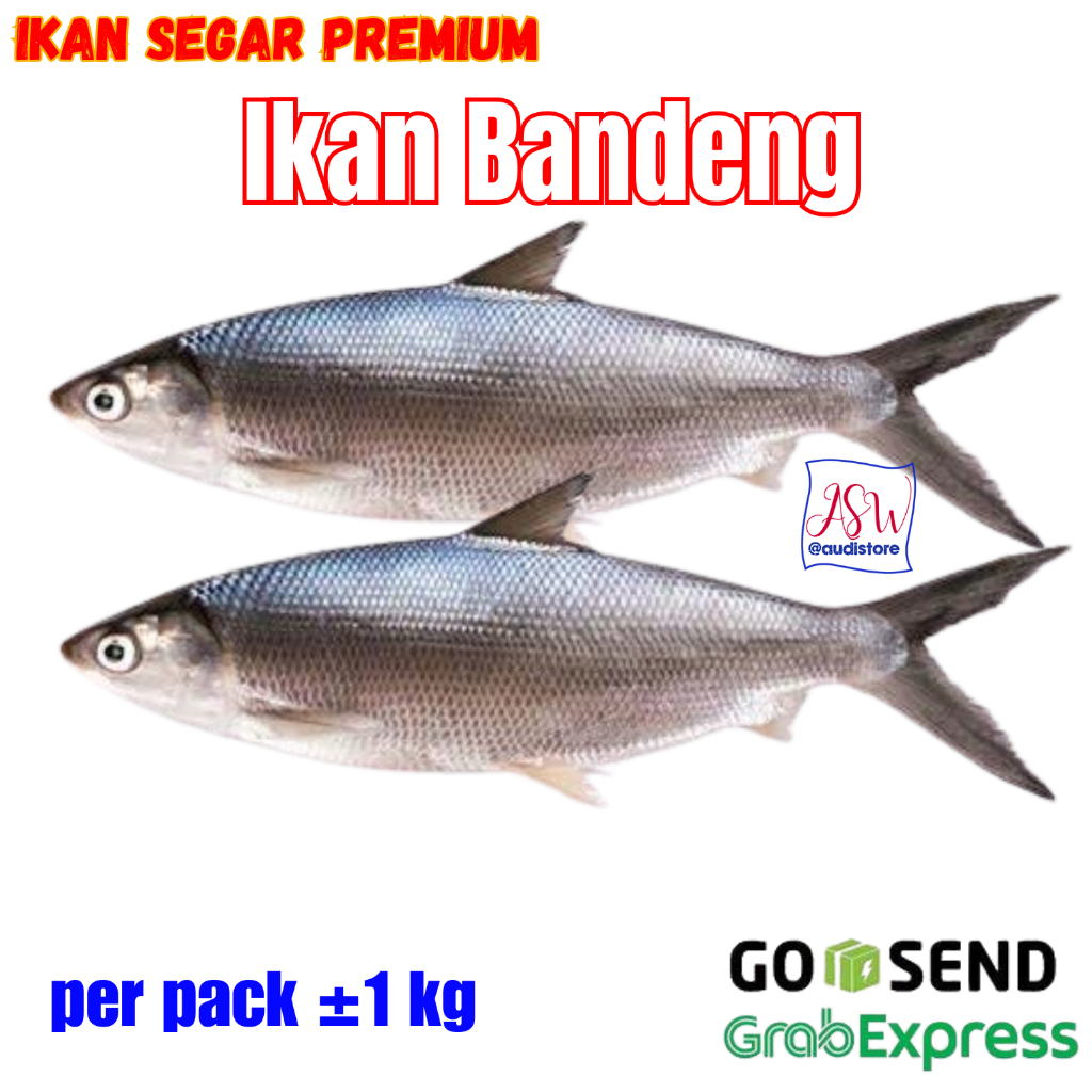 

Ikan Bandeng Premium Segar Frozen kemasan perpack 1kg