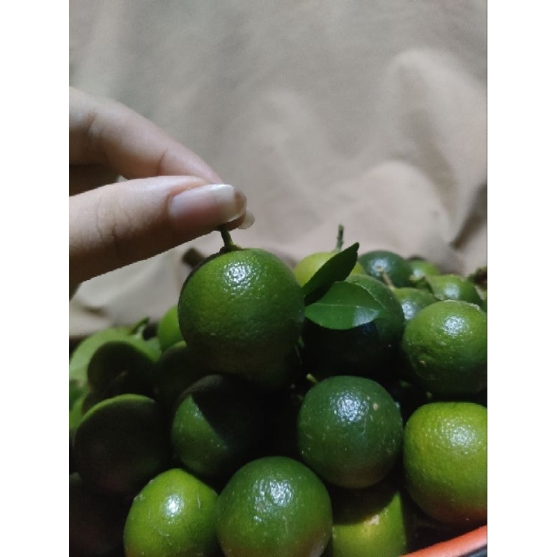 

jeruk sonkit fresh 1 kg