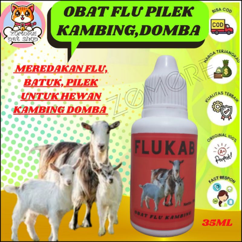 Obat batuk kambing - Obat pilek kambing - Obat Pneumonia Ternak hewan