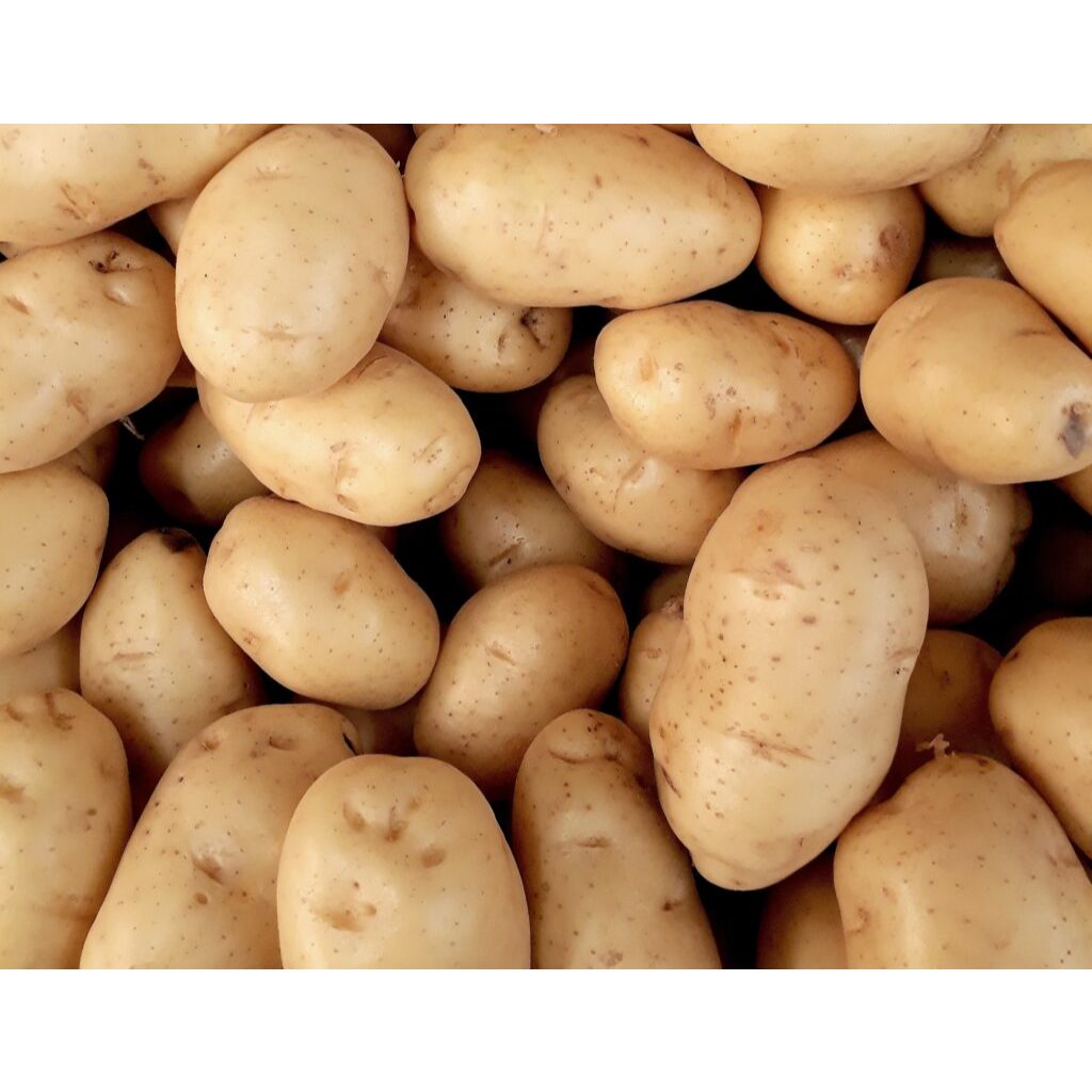 

Kentang +- 300Gr Fresh & Bersih ( Kirim Instan )