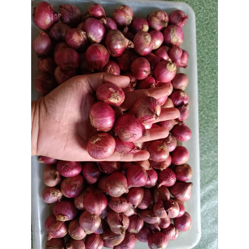 

Bawang Merah Ukuran Besar Asli Padang Kemasan 250 gram murah
