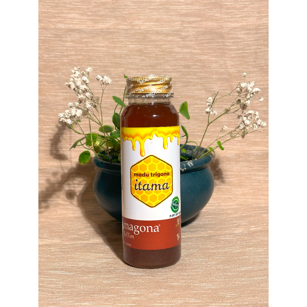 

Madu Trigona Itama Asli BelTim Rasa Manis ASAM 250 ml
