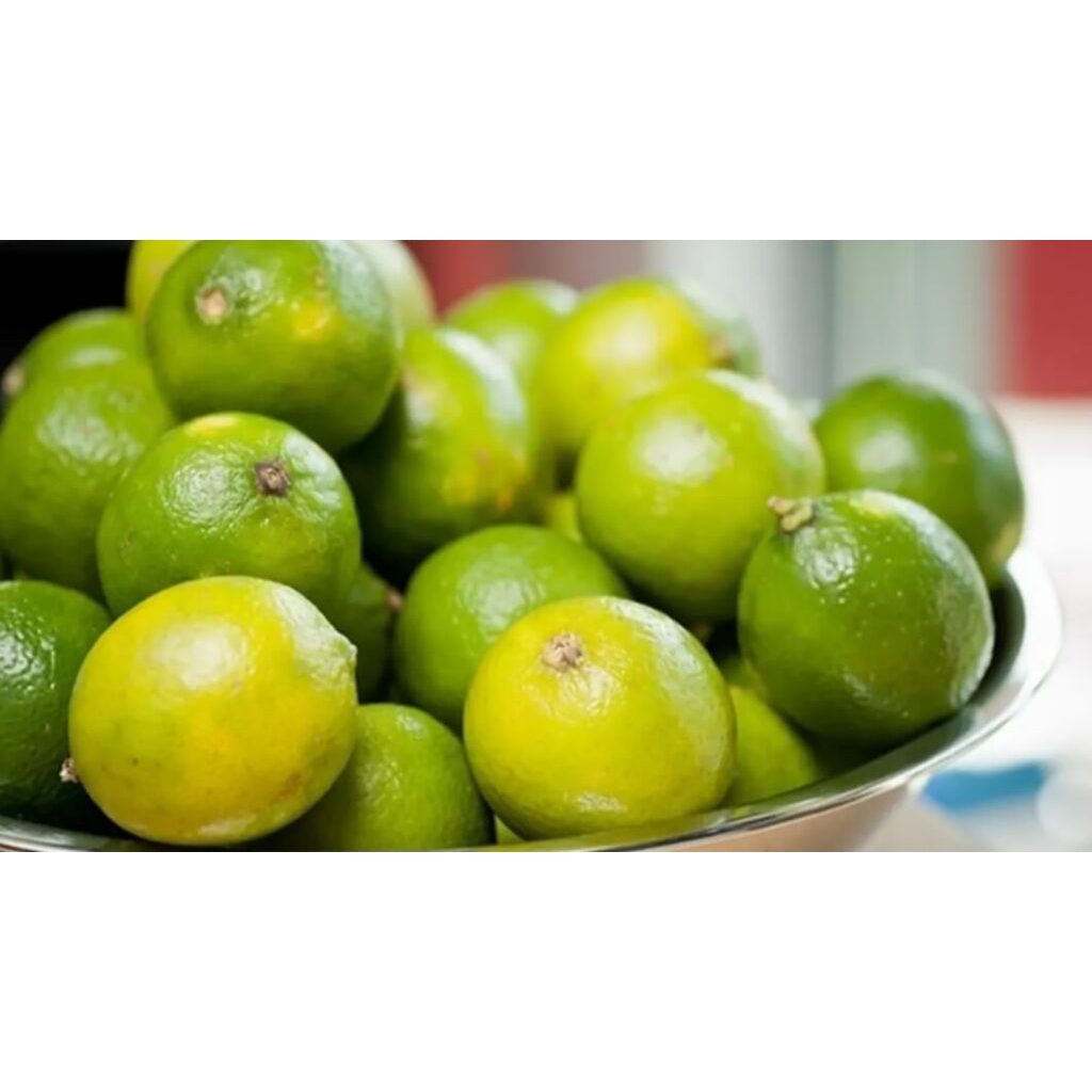 

Jeruk Lemon Fresh -+ 300Gr ( Kirim Instan )