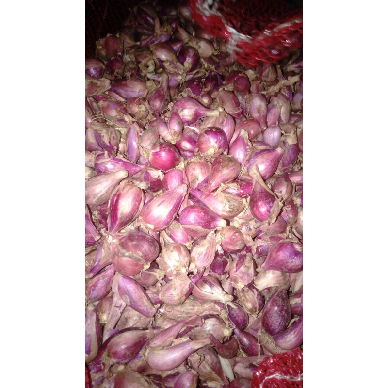 

bawang brebes ukuran sedang pack 10kg