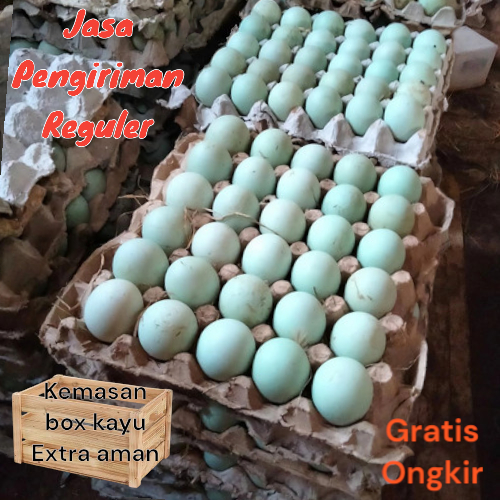 

Telor bebek mentah langsung dari ternak gratis packing extra aman