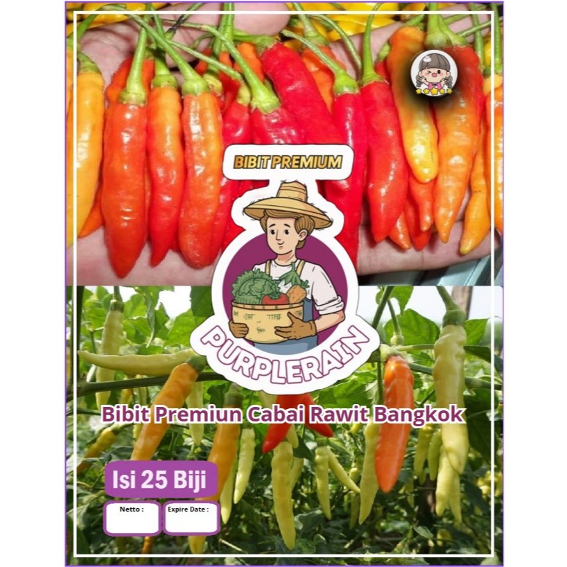Bibit Premium Cabe Rawit Bangkok Putih | Benih Cabe Rawit Bangkok Putih