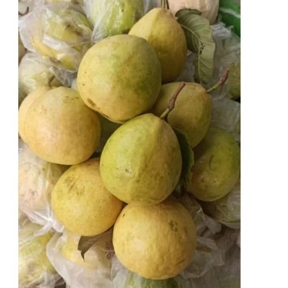

jambu merah 1kg