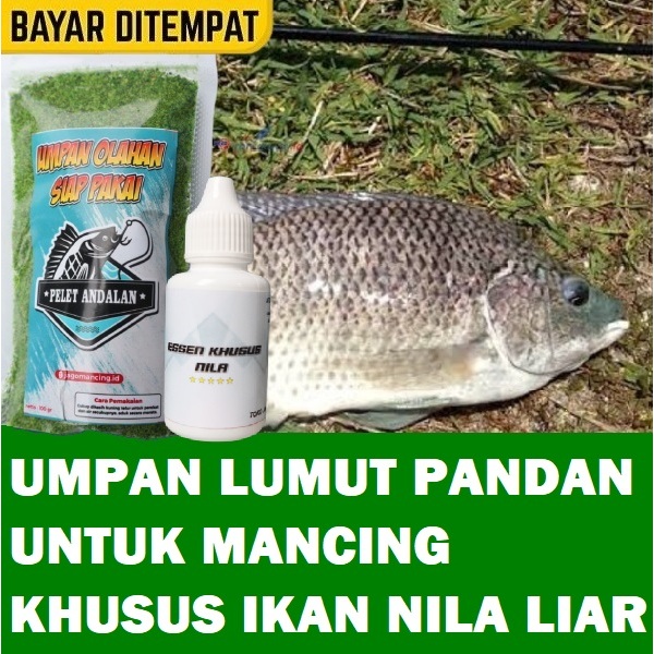 PAKET UMPAN LUMUT PANDAN UNTUK MANCING KHUSUS IKAN NILA LIAR