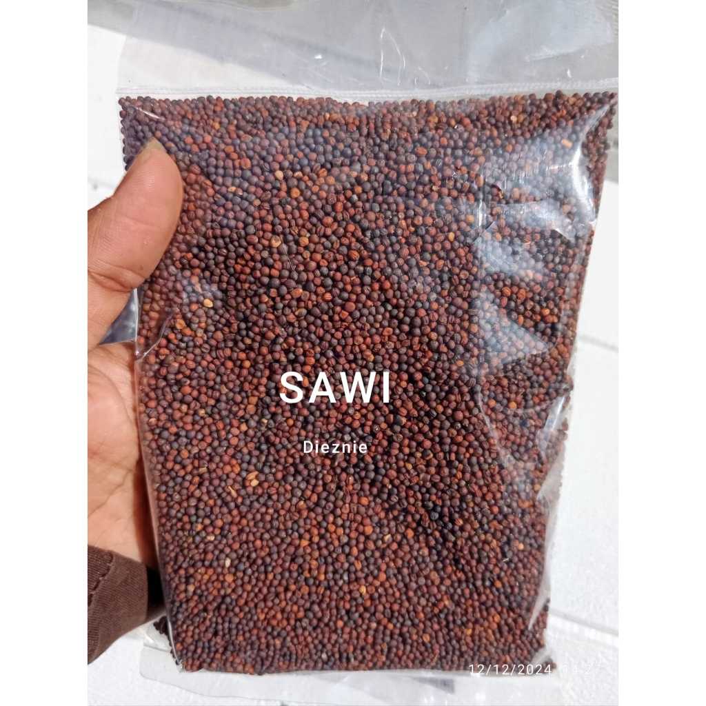 BIJI SAWI (Rp.5000) BIJI SAWI PAKAN BURUNG