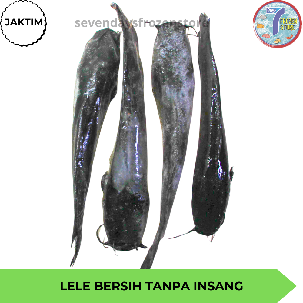 

Ikan Lele | Lele Bersih | Lele WGGS Beku Frozen 800 gr