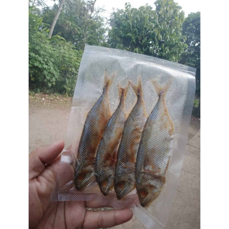 

ikan asin peda merah