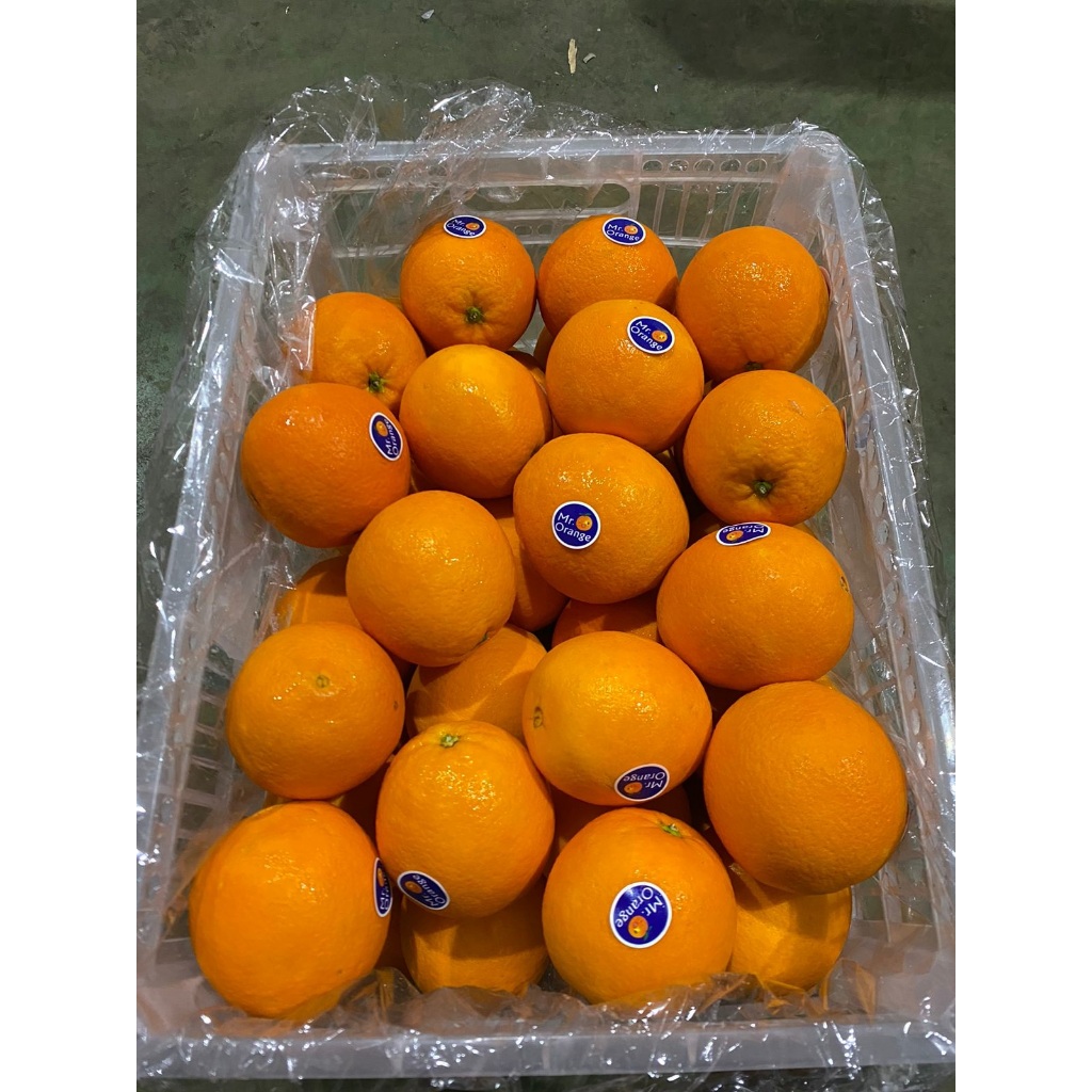 

JERUK SUNKIST MAVEL CINA
