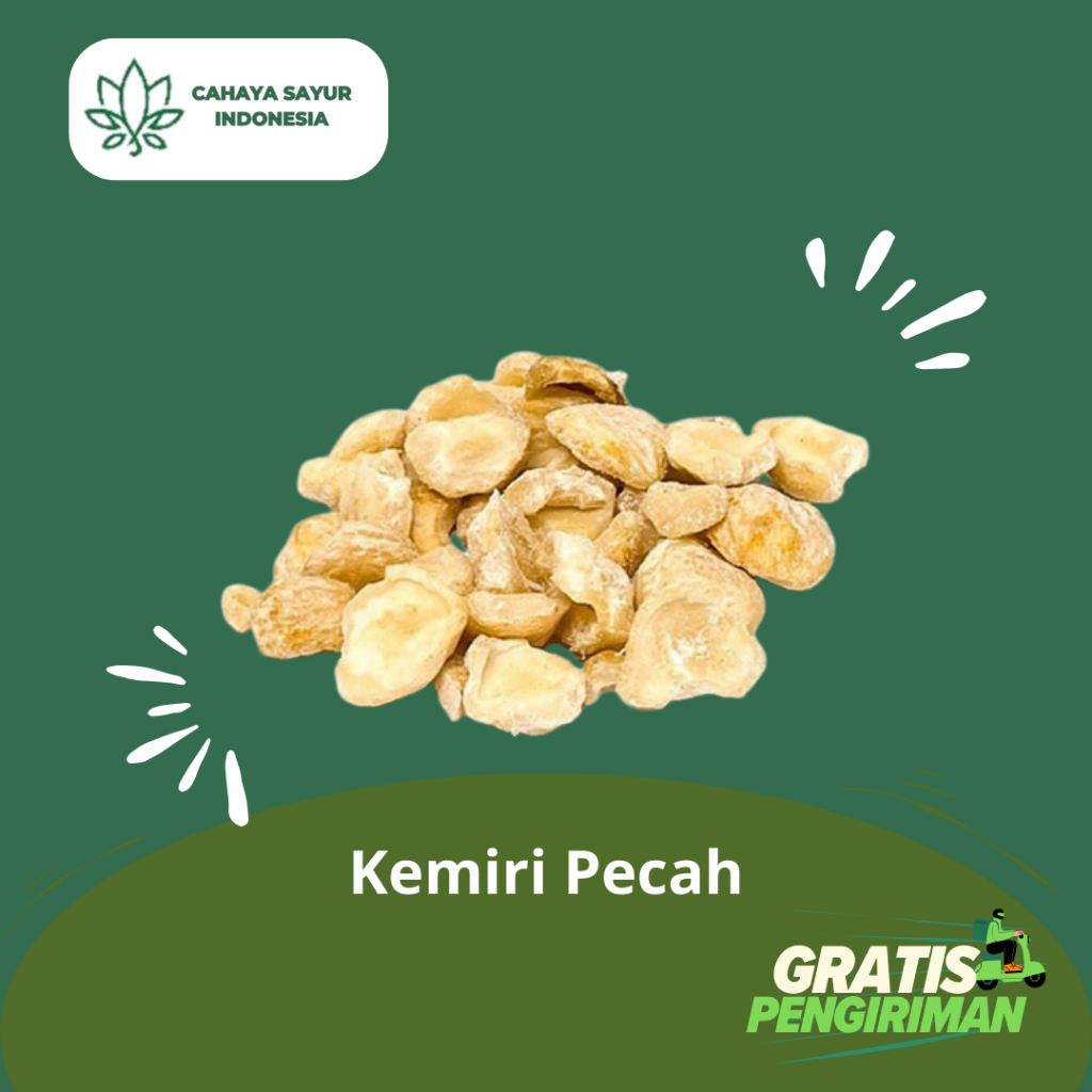 

Kemiri Pecah Kering 1Kg + Gratis Ongkir