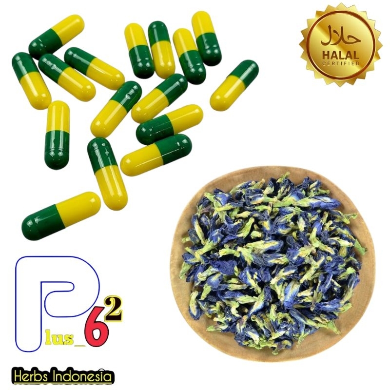 

Kapsul bunga telang obat kolesterol ampuh kemasan hemat