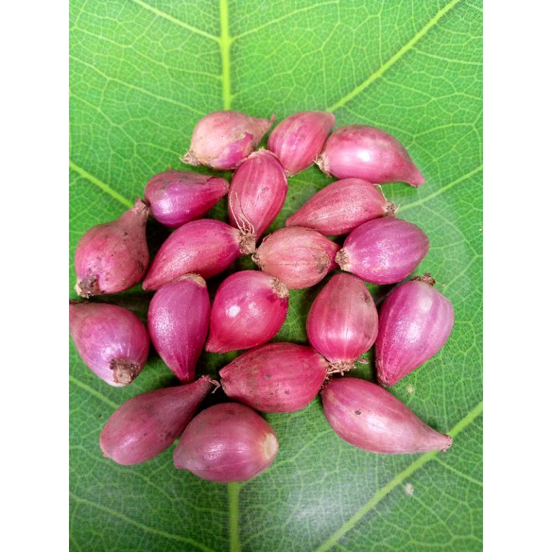 

Bawang merah kecil 500 gram ulekan