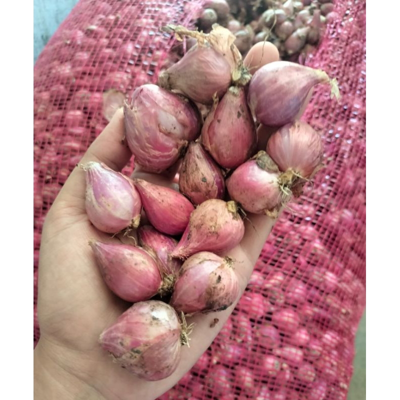 

Bawang merah besar campur 500 gram murah
