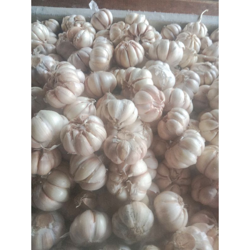 

Bawang putih sinco 500 gram