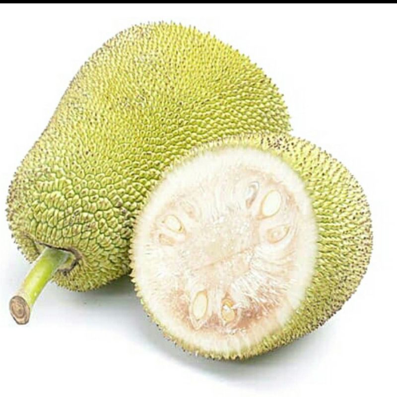 

Buah nangka sayur segar 1kg kondisi di ambil baru petik langsung siap kirim