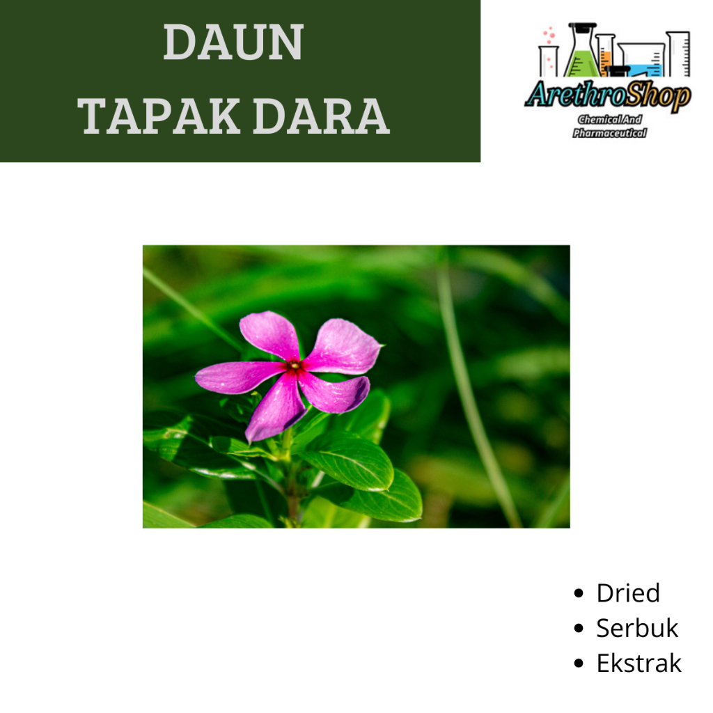 

EKSTRAK DAUN TAPAK DARA 10 GRAM BEST PRODUCT