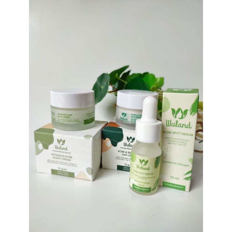 Paket Acne Beauty Secret Series WulandSkincare Promo