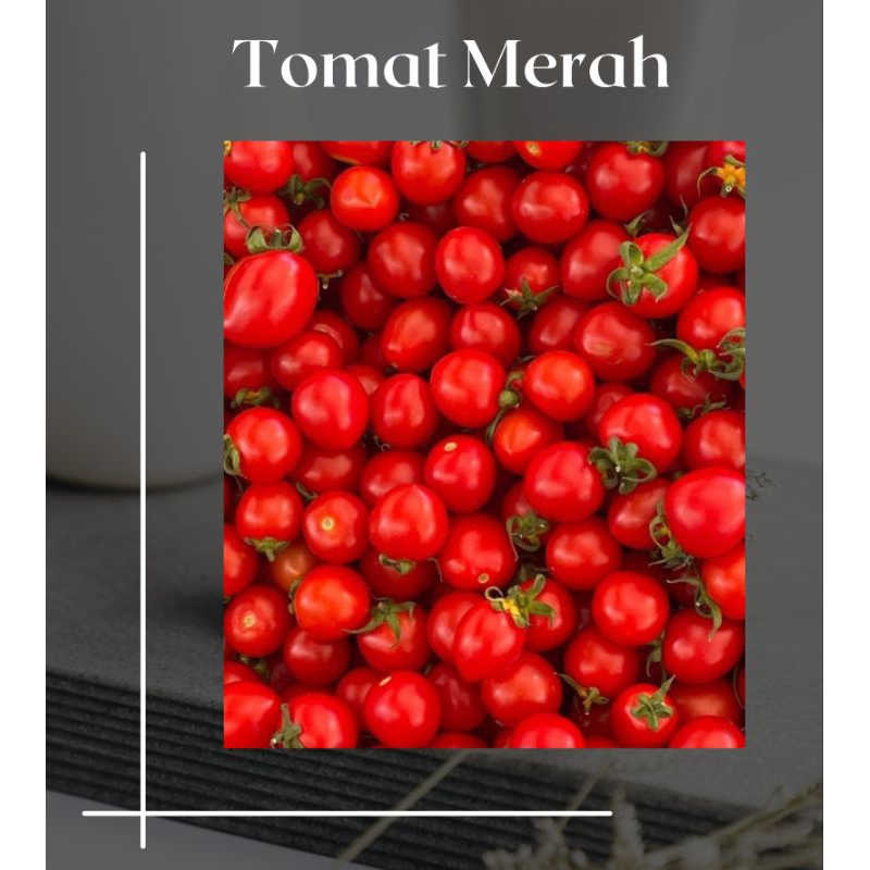 

Tomat segar fresh 1/2kg