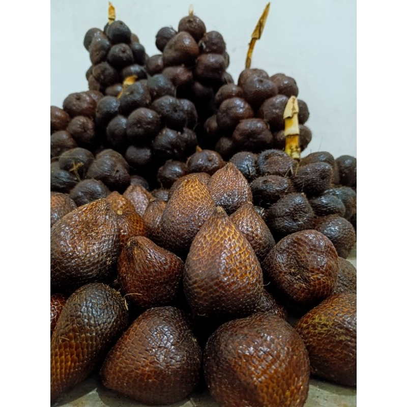 

Salak Pondoh Pronojiwo Fresh - Langsung Dari Pohon