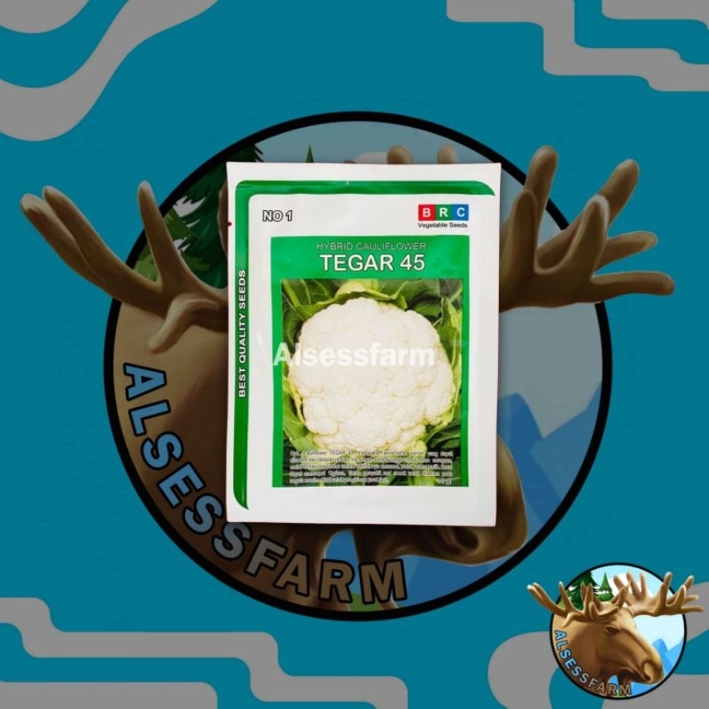 

benih bunga kol TEGAR 45 kemasan 10 gram dari BRC