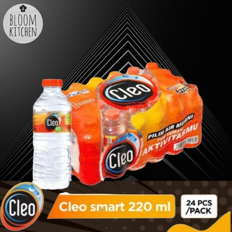 

cleo mineral water 220ml 24pcs