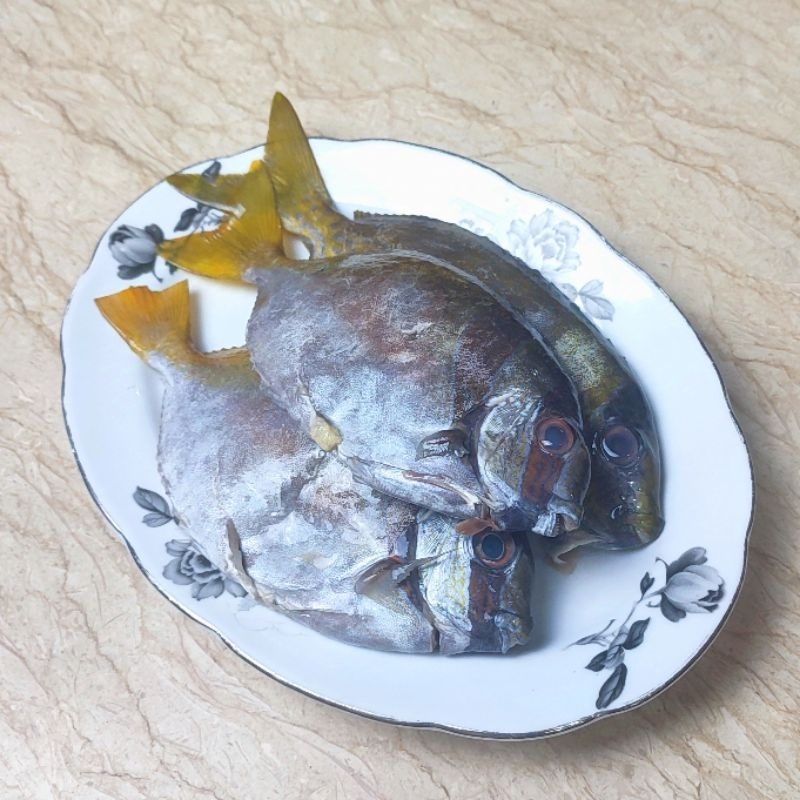 

Ikan Baronang Beku / Frozen 500gr