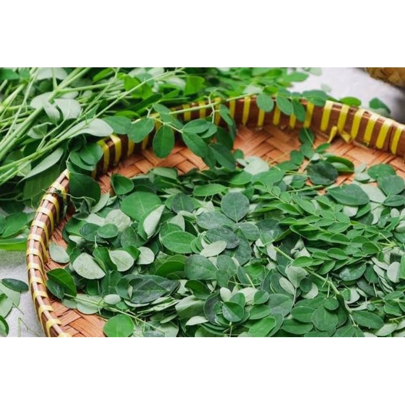 

Daun Kelor Segar 65 gram Non Pestisida