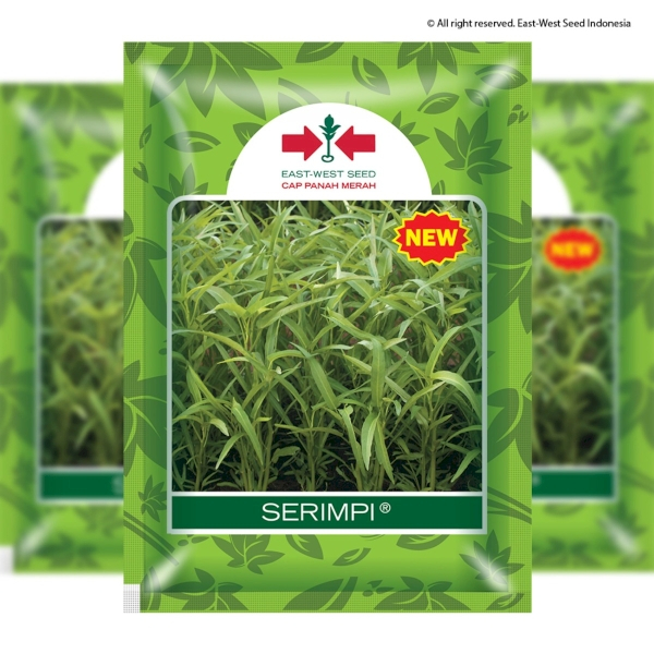 Bibit Kangkung Cabut Srimpi Kemasan 1 Ons