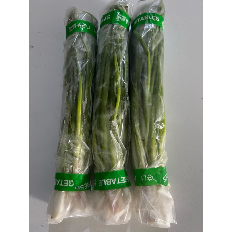 

Daun Bawang 100 gr