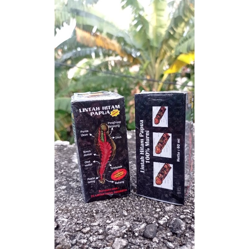 

minyak Papua / oles lintah