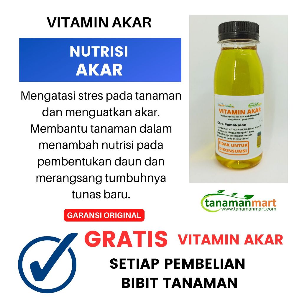 Vitamin Tanaman Nutrisi Akar | Nutrisi Pertumbuhan Akar Tanaman