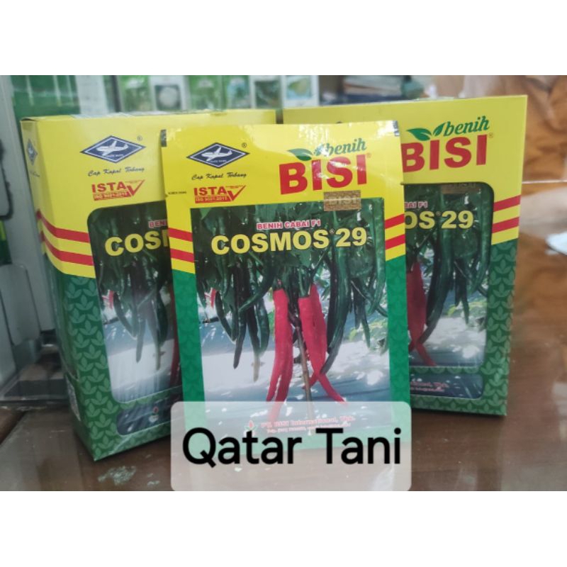 Benih Cabe Besar COSMOS 29 F1 10 Gram 100% Original