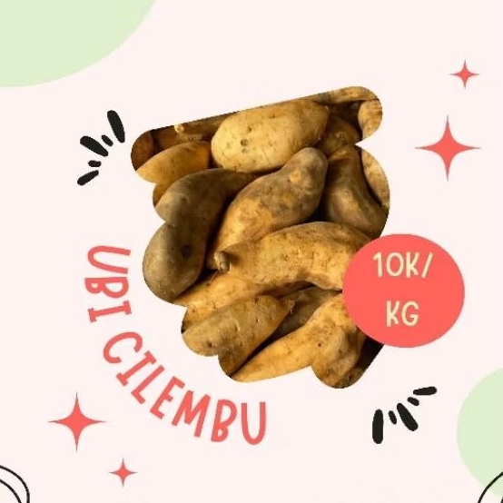 

Ubi cilembu 1kg