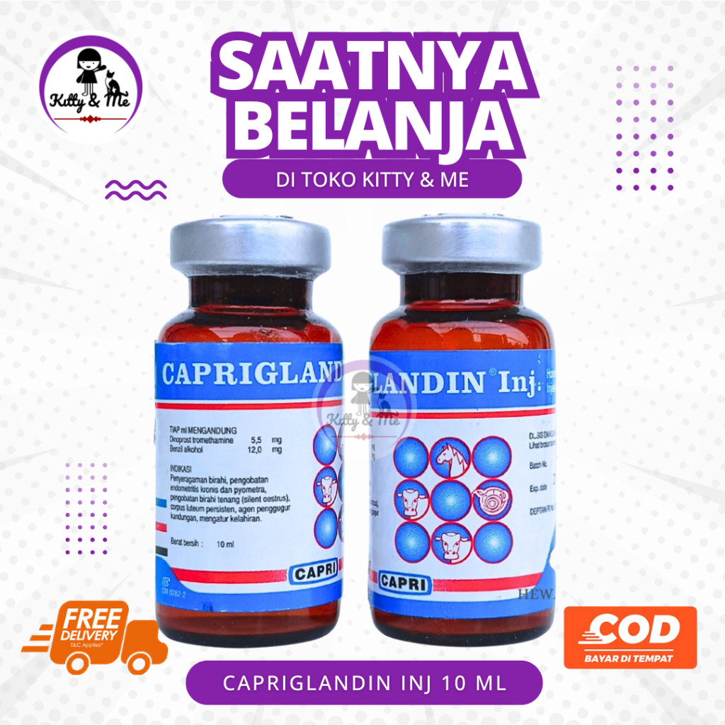CAPRIGLANDIN INJ 10 ML - Hormon Sinkronisasi Estrus Sapi Kambing Domba Kuda Babi